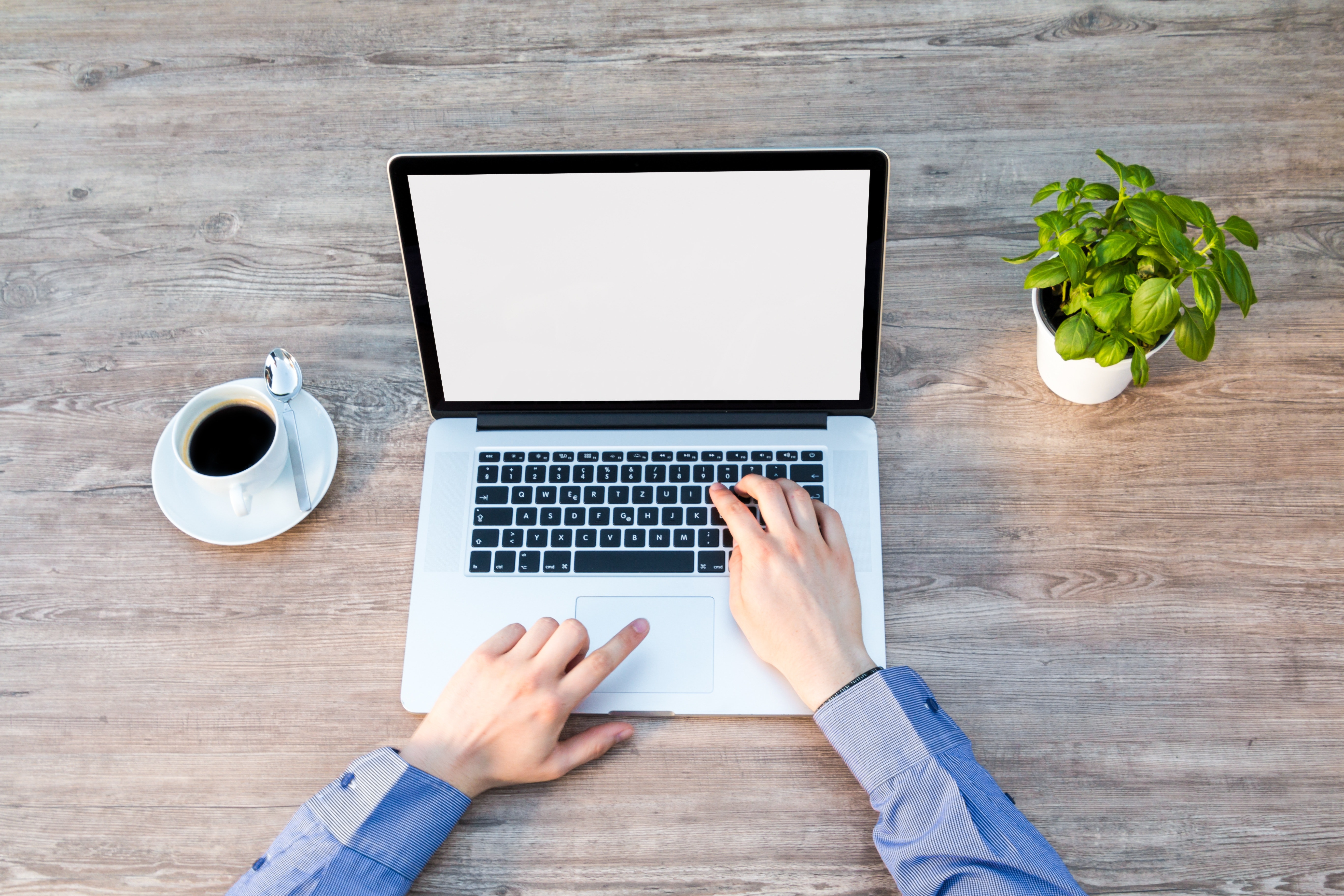 Tech Startup Work Culture